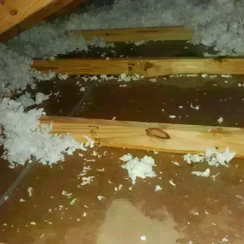 Attic Water Damage in Southmont, PA