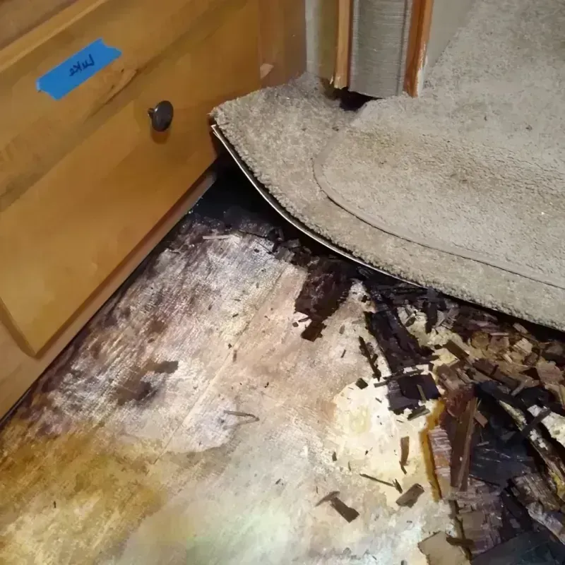 Wood Floor Water Damage in Southmont, PA